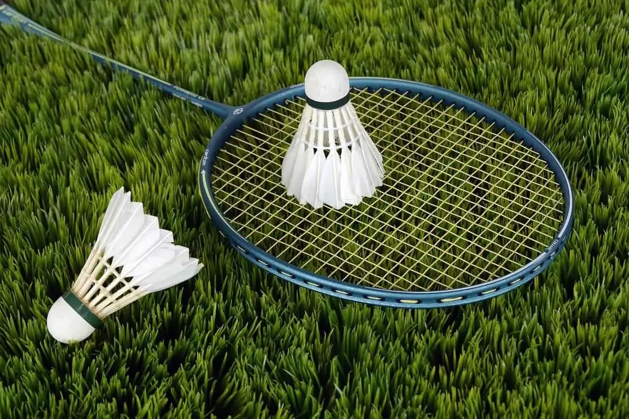 Badmintonschläger und Federbälle auf einer Wiese